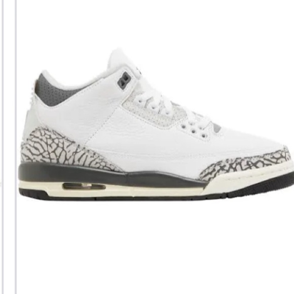 Jordan 3s retro